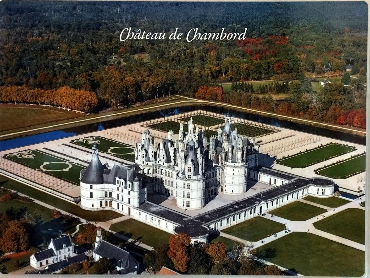 הוילה סל-סור-שר Gite Du Domaine De Juliette Location Proche Du Zoo De Beauval Et Des Chateaux מראה חיצוני תמונה